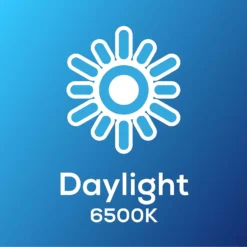 TCP Led Classic 40w Bc Daylight Bulb 2pk -Fashion Lighting 12891670 8434974964663785