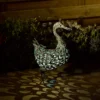 Solar Silhouette Duck - 43x12x27.5cm -Fashion Lighting 12912162 1925042096120703