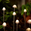 Elan Solar Mushroom Lights - Set Of 12 -Fashion Lighting 13489396 1004978602247407