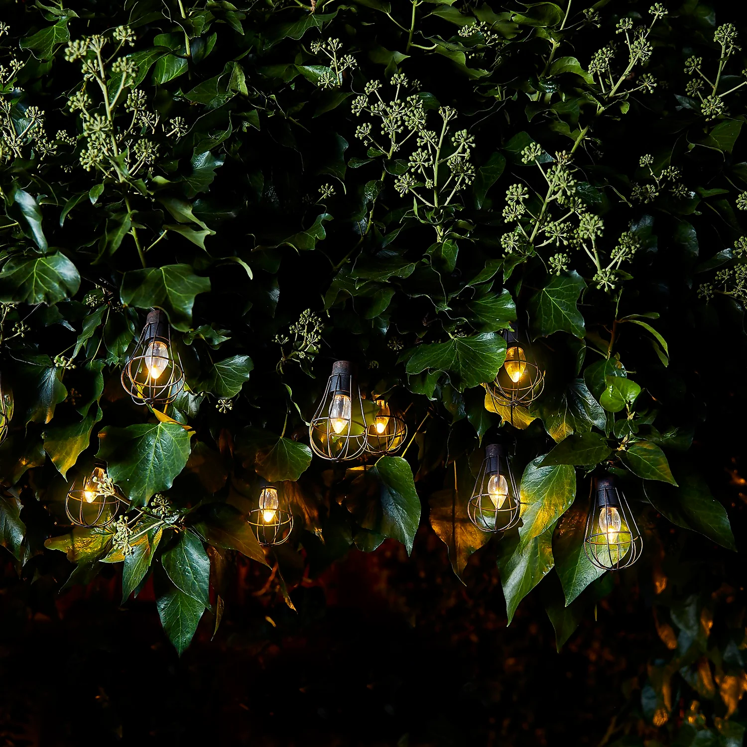 Homebase Edit 10 Metal Solar Cage Lights 3 Homebase Edit 10 Metal Solar Cage Lights